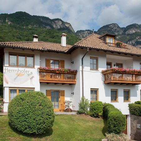 Apartments Herrnhofer Caldaro Dış mekan fotoğraf